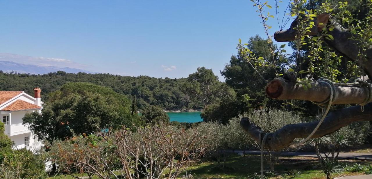 Milijana Apartments Rab Rab Town Buitenkant foto